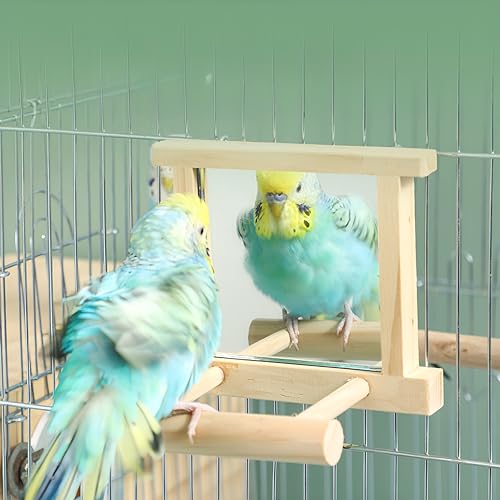 Image of Natural Wood Bird Stand with Mirror, Perch and Swing Toy for Parakeets, Hummingbird, Lovebirds and Cockatoos (2 Pack)