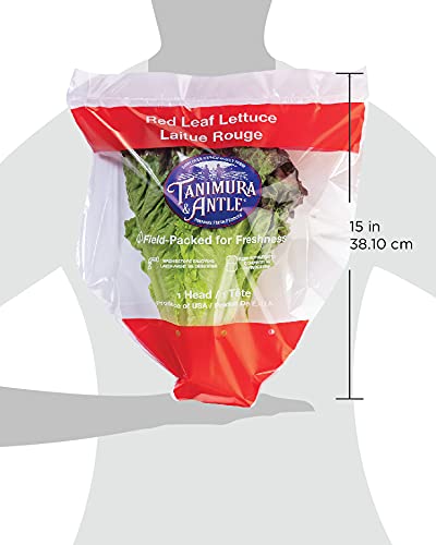 Red Leaf Lettuce, 1 Head