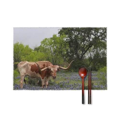 Longhorn Steer And Bluebonnets Lot de 6 sets de table rectangulaires en toile, durables,...