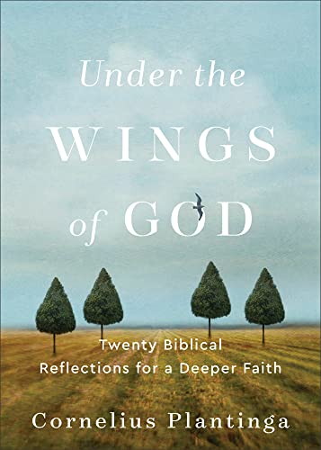 Under The Wings Of God: Twenty Biblical Reflections For A Deeper Faith
