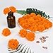 GOMALL 30 Pcs Artificial Marigold Flowers,2