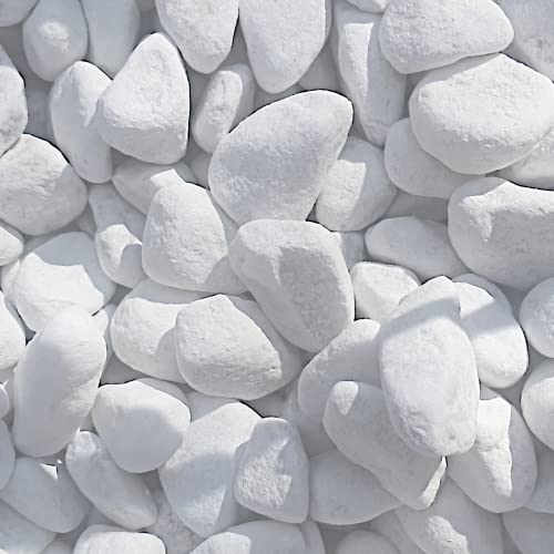 Marmorkies Weiß Die 15 besten Produkte im Vergleich Aquaristik