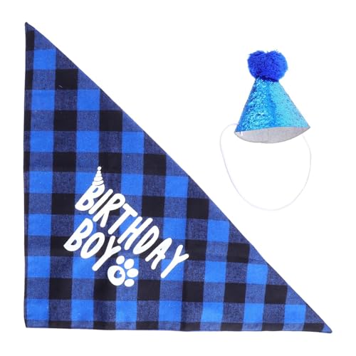 Set de sombrero y bandana para perros azul