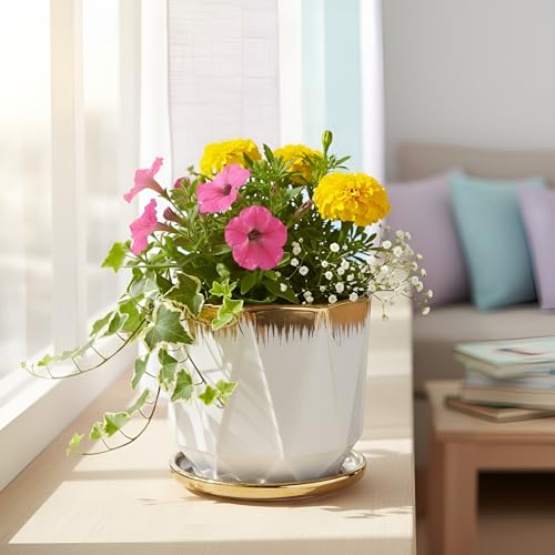 Image of Xtore Refined Faceted Ceramic Planter with Metallic Rim & Drain Tray | Contemporary Decorative Pot for Living Room, Desk & Balcony Styling (Pack of 1, Planter only)