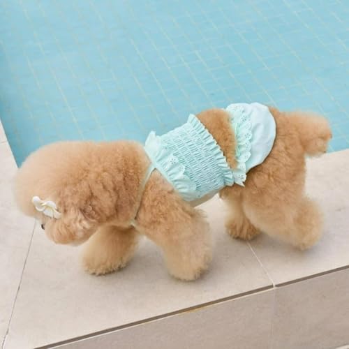 Disfraz de Cat y Perro Bikini & Gorra Verde M miniatura 5