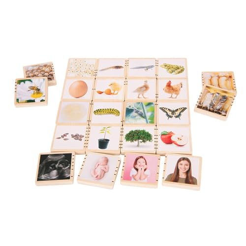 212 Main Wooden Lifecycle Tiles