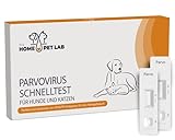 Schnelle Gewissheit - Der Parvovirus Schnelltest ermöglicht eine schnelle und präzise Diagnose, ob der Durchfall oder das Erbrechen ihres Haustiers durch Parvovirose ausgelöst wird.