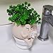 UMESONG Cute Face Self Watering Planter Pot with Drainage Hole Funny Toilet Plant Pot for Indoor Outdoor Unique Head Planters for Bathroom Gift Ideas for Mother, Christmas