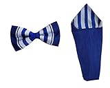 Dupsie's Blue and White Handwoven Kente Bow Tie and Pocket Triangle