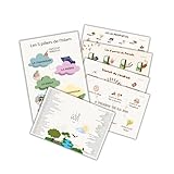 Pack de 6 Stickers   Adhésif   Format A4   Base de l'Islam   5 piliers de l'Islam   8 porte du Paradis   25 Prophètes   6 piliers de la Foi   99 Noms d'Allah   Apprentissage Ludique Enfant et Débutant