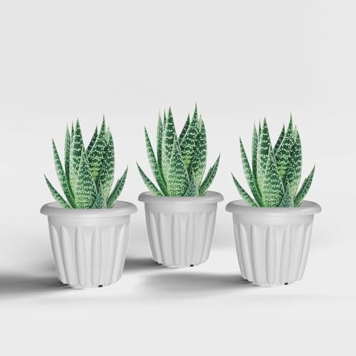 Image of YUCCABE ITALIA SHERA Floot 6 Inch Plastic Flower Pot 3 Piece Set of Round Shape Planter for Home Garden Seedling Planter for pots (White)
