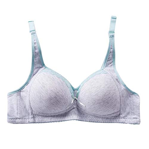 Buy Sweet Student Bra Push Up Bra for Small Breast Gather Thin Cup Bra