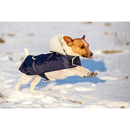 Hundemantel TEDDY 27 cm Bauchumfang 32-43cm