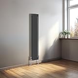  NRG Radiateur vertical en fonte 2 et 3 colonnes