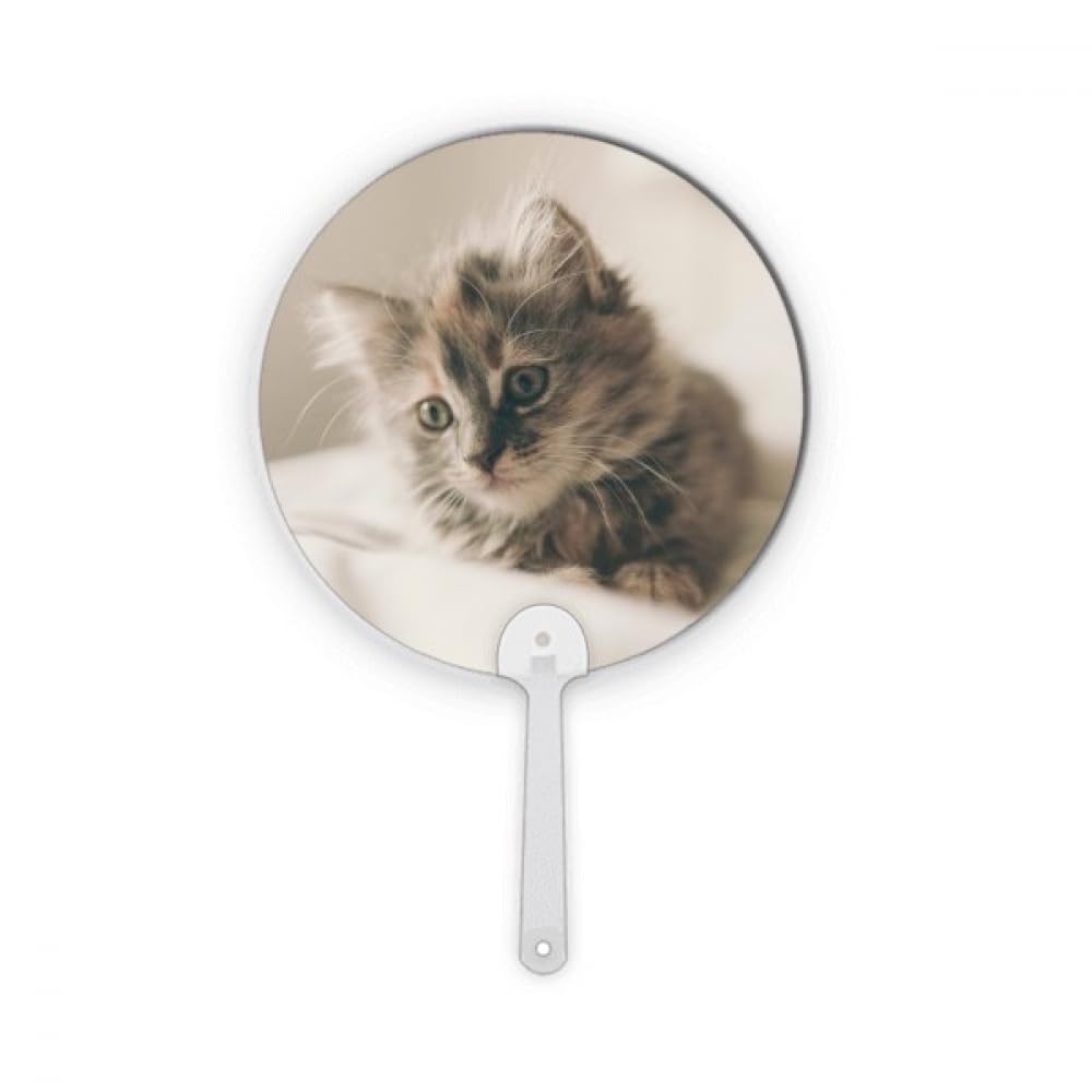 Artisanat décoration chat gris et éventail rond en plastique no/no avec photo animal