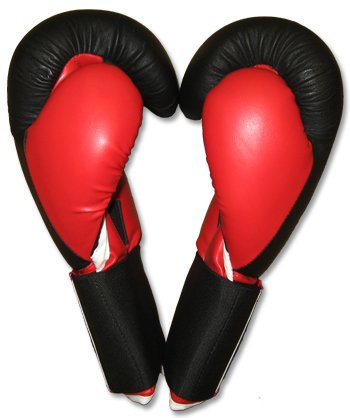 Training Gloves for Muay Thai, MMA, Kickboxing, Boxing-16oz