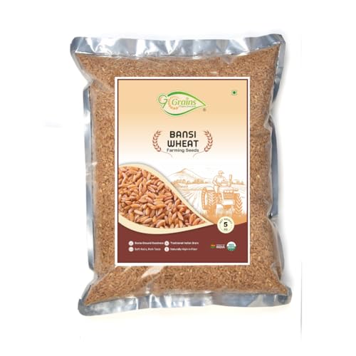 Image of Organic Bansi Wheat Grains Seeds (5Kgs) | Bansi Bhaliya Gehu Ka Seeds | For Farming, Sowing & Agriculture Use | Produce of India | 100% Natural & Non-GMO | By G7 Grains