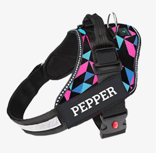 See full amazon price history chart for IndiHopShop Customized Dog Harness | Personalized Dog Harness with Dog Name | No Pull | Retro Spice (L) IndiHopShop Customized Dog Harness | Personalized Dog Harness with Dog Name | No Pull | Retro Spice (L) (B0C5N7585G) Amazon Price History, Amazon Price Tracker