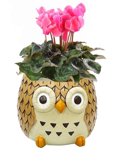 Ԃ̃Mtg VN VN Mtg K[fVN  VNA ӂ낤