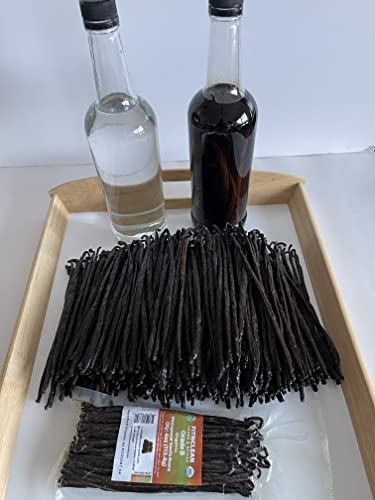 4oz Madagascar Vanilla Beans Organic Grade B. 5"-7" by FITNCLEAN VANILLA for extract, Cooking and Baking| 1/4Lb Whole NON-GMO Pods. Certified USDA Organic.