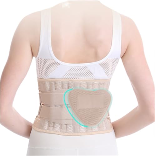 Faja Reductora de Fitness para Hombre y Mujer, Soporte de Espalda Ajustable con cojín Lumbar, Faja Reductora de Abdomen (AB XL)