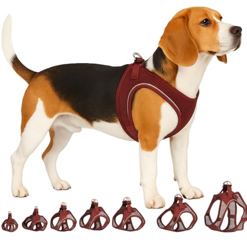 Flamingo Step-Go Bento Pettorina – Melanzana, L (A:32-37 cm, B:42-46 cm, 3 mm), Comoda e Regolabile, Ideale per Cocker Spaniel, Beagle, Shetland Sheepdog, Bulldog Francese ecc.