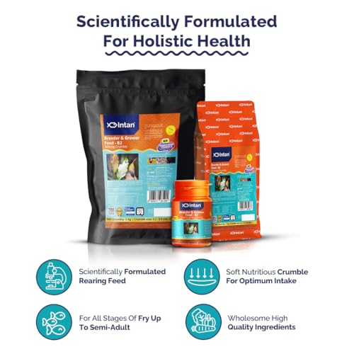 Image of Intan Breeder & Grower Food - B2 (0.2-0.4mm Slow Sinking Crumble) | 35gm - Highly Nutritious Ornamental Fish Food for A Range of Feed from Fry to Grow Out Stage for Viviparous & Oviparous Fish