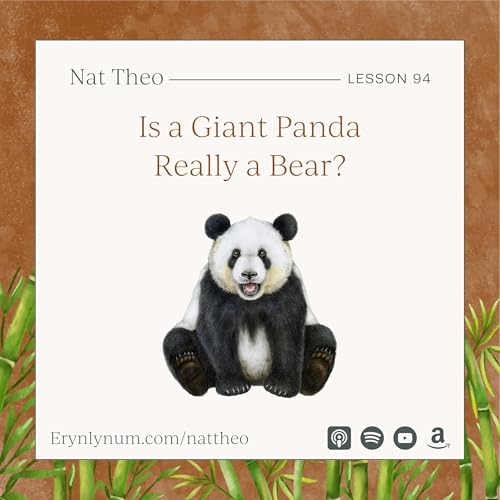 Is a Giant Panda Really a Bear? Lesson 94 Podcast Por arte de portada