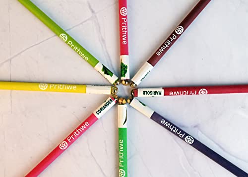 Ecofriendly Plantable Seed Black Pencils Gift Pack (Pack Of 50 Pencils - 2 X 25 Sleeves)