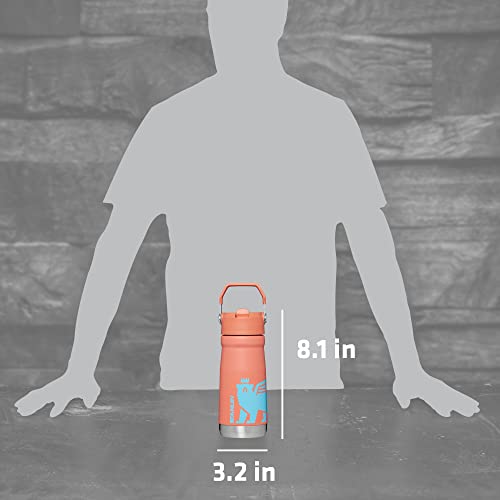 Stanley Classic Iceflow Flip Straw Tumbler For Kids (8 Or Above), 20Oz, Stan The Bear Stainless Steel , With Double-Wall Vacuum Insulation #TOP5