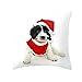 Daesar Fundas Cojines Navideñas,1 PCS-Perro con Sombrero de Navidad Rojo Negro Blanco Fundas de Cojines 40 x 40