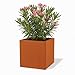 Produktbild Czaja Cortenstahl Pflanzkübel 50x50x50 cm Fiorella mit Bodenplatte - Made in Germany - Rost Deko Blumenkübel quadratisch  wetterfest & langlebig  Garten Terrasse Balkon  Edelrost Pflanzgefäß