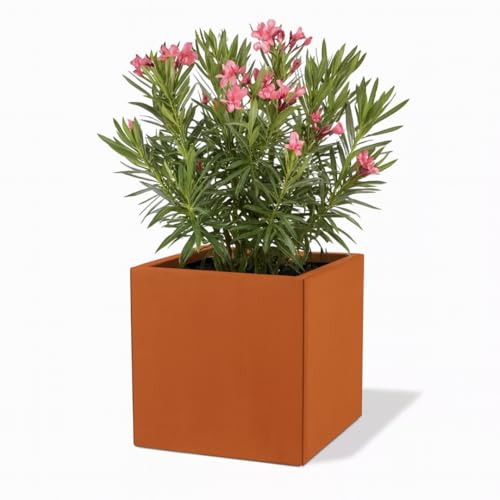 Czaja Cortenstahl Pflanzkübel 50x50x50 cm Fiorella mit Bodenplatte - Made in Germany - Rost Deko Blumenkübel quadratisch – wetterfest & langlebig – Garten Terrasse Balkon – Edelrost Pflanzgefäß