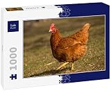Lais Puzzle Pollo 1000 Piezas