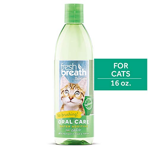 fresh breath by tropiclean for cats