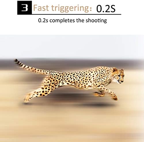 Miniatura 4 de Cámara de rastro - Cámara de caza 4K 32MP 0.2s Tiempo de disparo Cámara de rastro de ciervos Cámara infrarroja visión nocturna IP67 impermeable