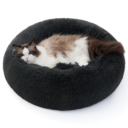 BEDSURE Hundebett waschbar Flauschiges Katzenbett - Ø 50 cm Donut Kissen, Katzenschlafplatz für Katzen Kleine Mittelgroße Hunde, Plüsch Katzenkissen Rund Kuschelbett Katzen Bettchen, Dunkelgrau BEDSURE Hundebett waschbar Flauschiges Katzenbett - Ø 50 cm Donut Kissen, Katzenschlafplatz für Katzen Kleine Mittelgroße Hunde, Plüsch Katzenkissen Rund Kuschelbett Katzen Bettchen, Dunkelgrau
