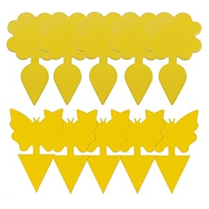 Gelbsticker Fliegenfalle, Gelbe Fliegenfänger Fruchtfliegenfallen Doppelseitiges Klebefalle Gelbtafeln für Gewächshaus Garten Zimmerpflanzen Topfpflanzen gegen Mehrere Insekten (20 Stück)