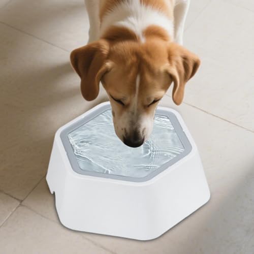 Bac flottant pour chiens avec disque régulateur de niveau 800 ml - 4
