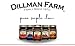 Dillman Farm All Natural Apple Butter - Gluten-Free, Non-GMO, Vegan, Kosher, Eco-Friendly, Preservative Free, Corn Syrup Free - Made in USA, 14oz (Pack of 6)