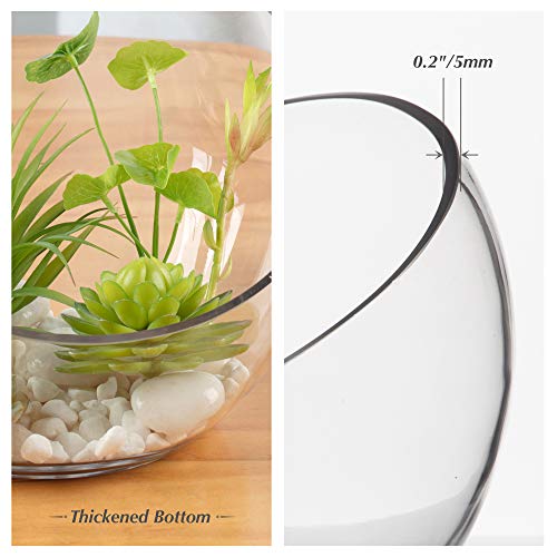 WGVI Clear Slant Cut Bowl Glass Vase, Glass Terrarium, Candy Dish, Glassware, Slant Open: 7". Height: 6" x 2.7". Base: 4" (1 Piece) by WGVI - Image 3