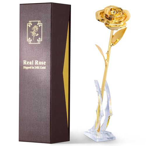 ECO SPACE 24K Gold Dipped Real Rose Gift Gold