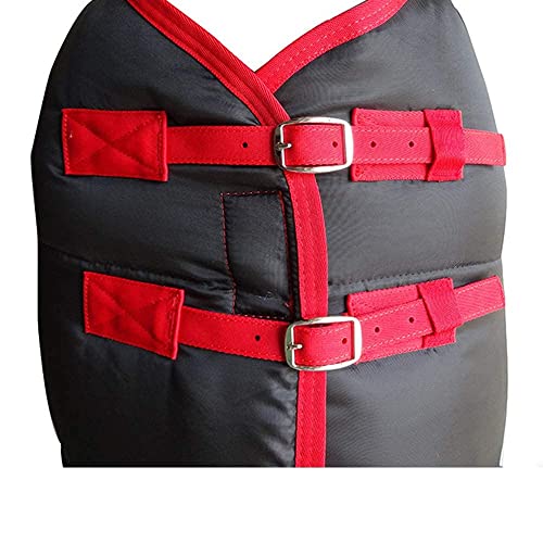 Couverture d'extérieur pour cheval Oxford Ripstop haute résistance - 3