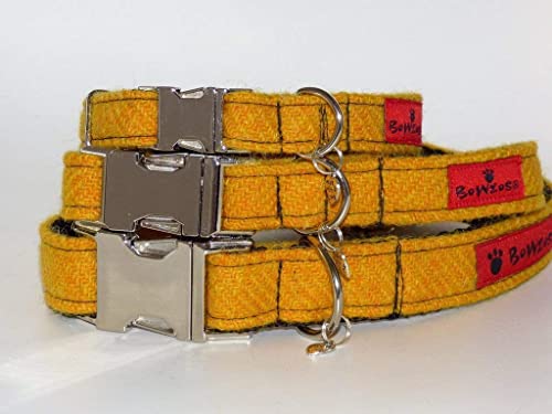 yellow dog collar amazon