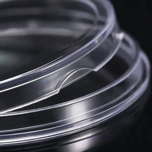 200 cápsulas para monedas plásticas transparentes miniatura 2