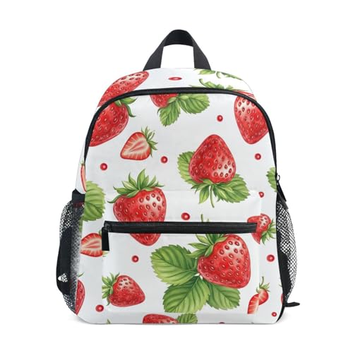 Cute Strawberries Red White Toddler Boy Backpack with Name Tag, Kids Backpacks, 3-8 Years