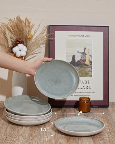 Image of Pokini Ceramic Dinner Plates Set of 6, 8inch Salad, Dessert Plates Dishes | Reactive Glaze Stoneware Dish Set, Dinner Plate for Dessert, Salad, Appetizer, Microwave & Dishwasher Safe, Scratch Resistant