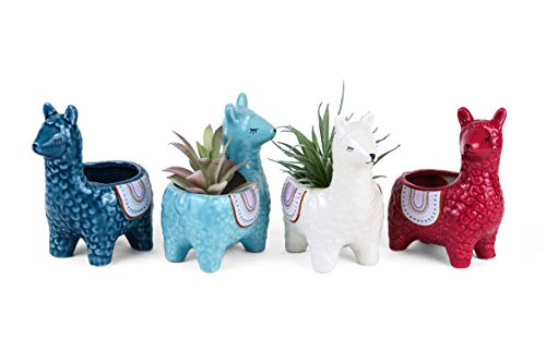 Cute Alpaca Succulent Pots, 4 Pc. Set Animal Planter, Decorative Ceramic Planters For Natural Indoor Gardens And Cacti, Colorful Office And Home Decor For Living Room, Kitchen, Or Desk #TOP2