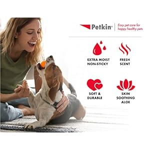 Petkin Travel Cat and Dog Grooming Wipes, 10 Packs of 100 Wipes – Perfect Small Packs of Wipes for Travel, Keep in Your Purse or Car – Gently Cleans The Face, Paws, Ear, and Eye Area