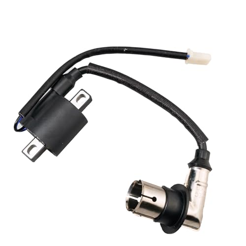 Tapa Ignition Coil Compatible with Some Champion 2000 Watts 2500 Watts Inverter Generator 100478 100692 100990 200949 100889 100899 200950 200951 and More Models